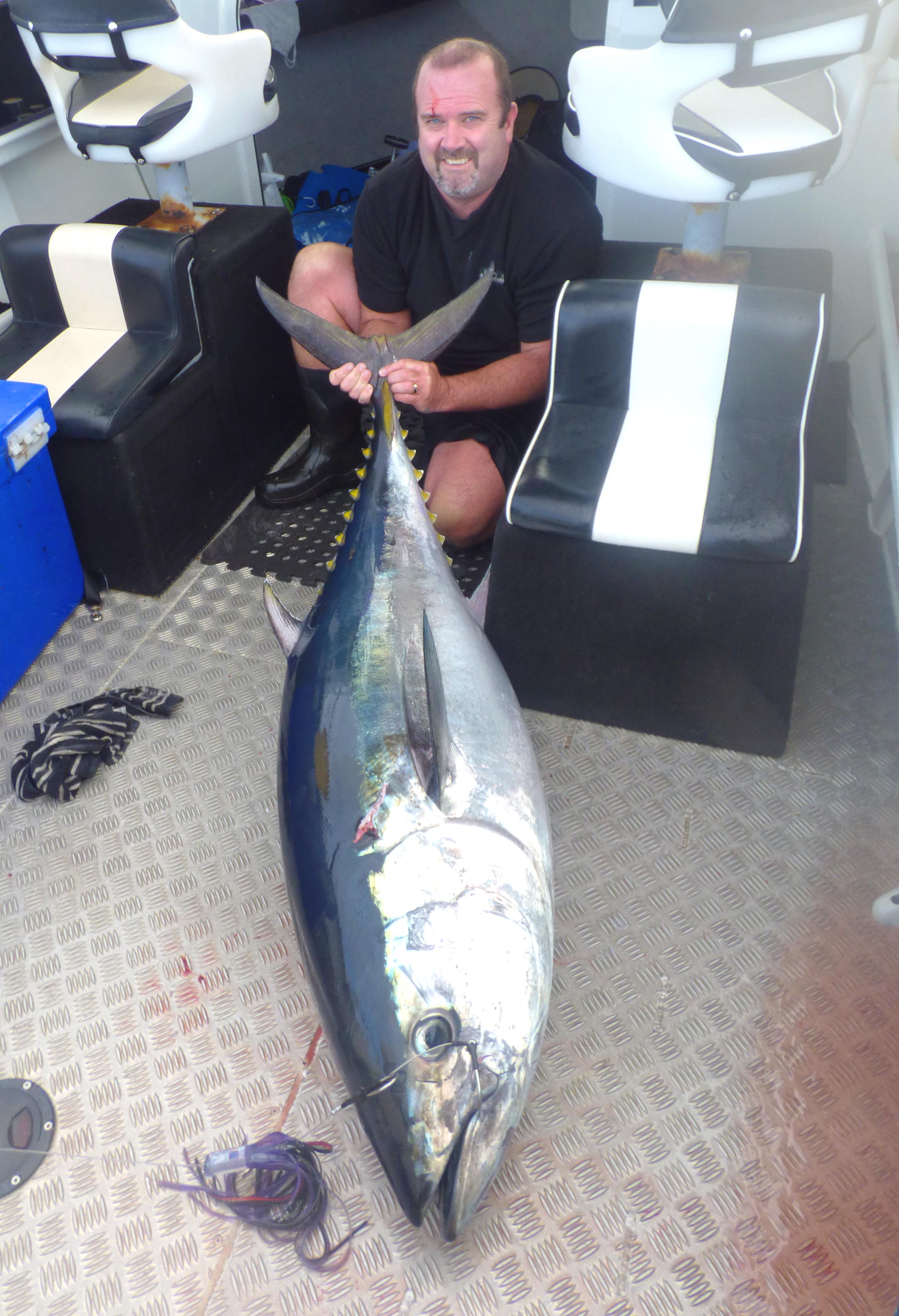 Southern Bluefin Tuna Bonanza