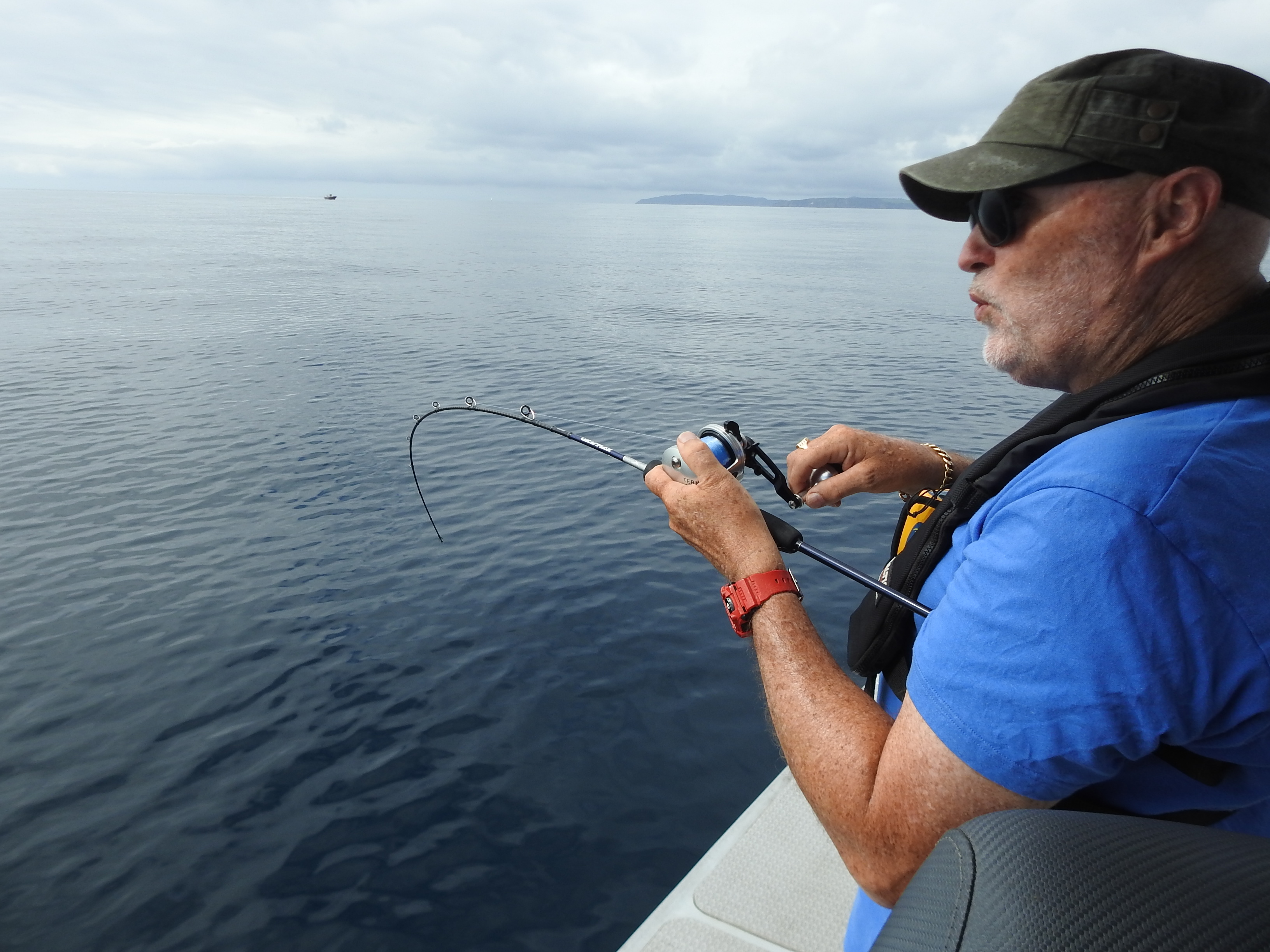Accurate Tern 300X and 400X reel review